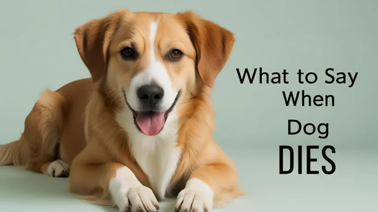 What to Say When Dog Dies